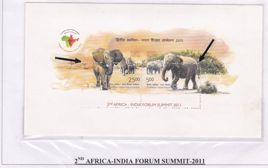 दूसरा अफ्रीका-भारत फोरम शिखर सम्मेलन-2011-वेध स्थानांतरित त्रुटि