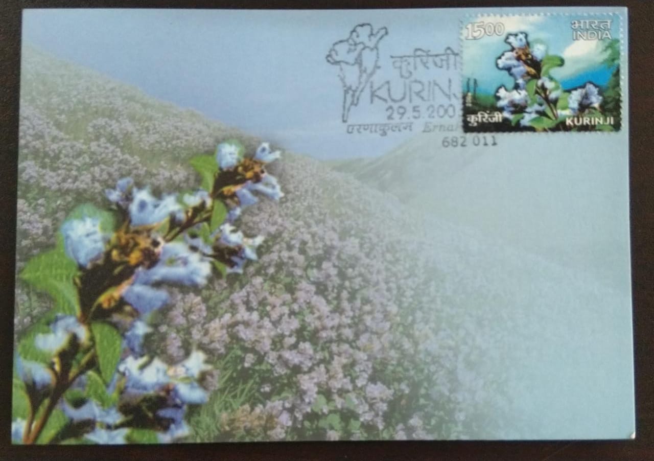 कुरिंजी फूल पर सुंदर मैक्सिम कार्ड - 2006 में एर्नाकुलम फिलाटेलिक ब्यूरो द्वारा जारी किया गया