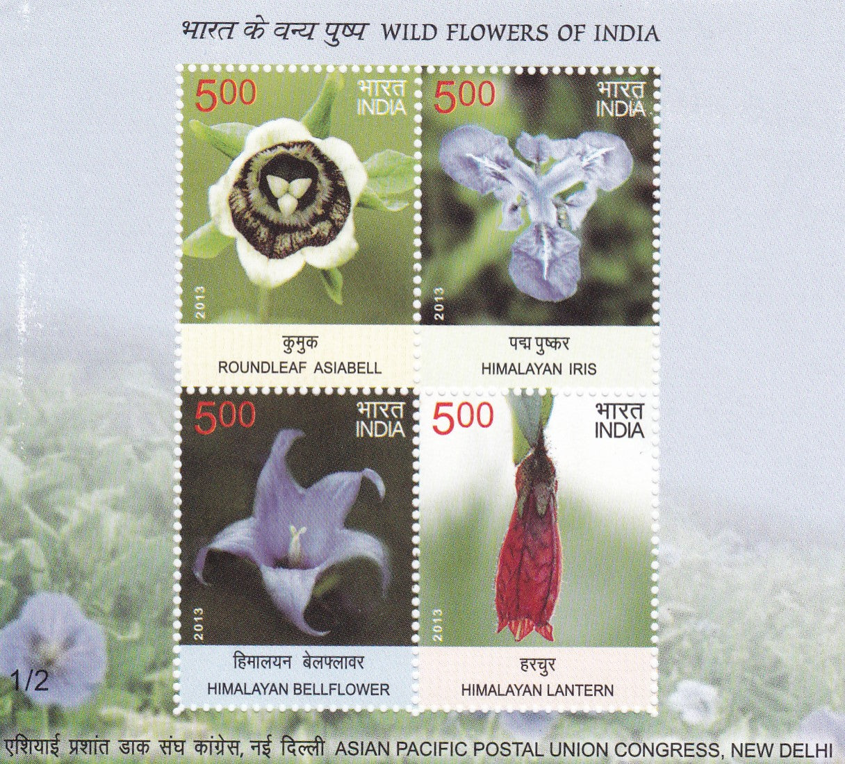 India-miniature sheet-Wild flowers of India-set of 3 MS.