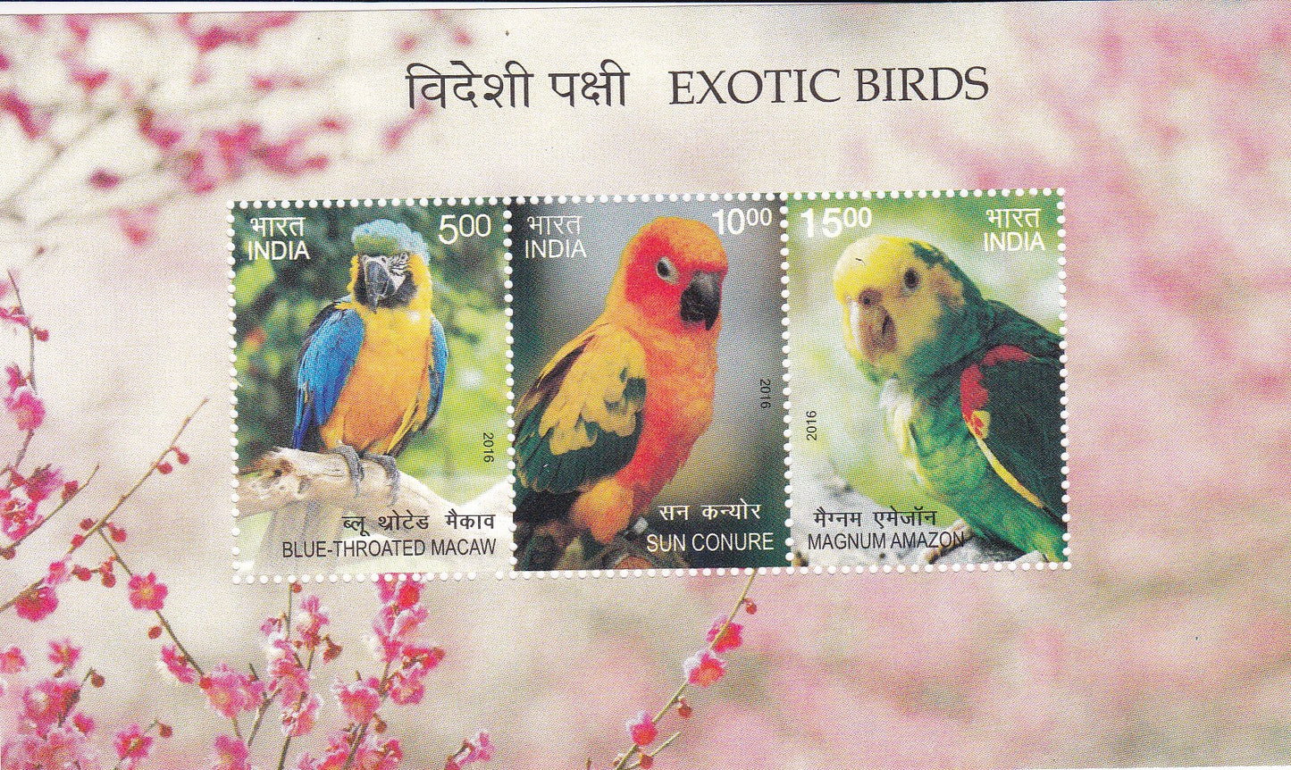 India-Miniature Sheet Exotic Birds.