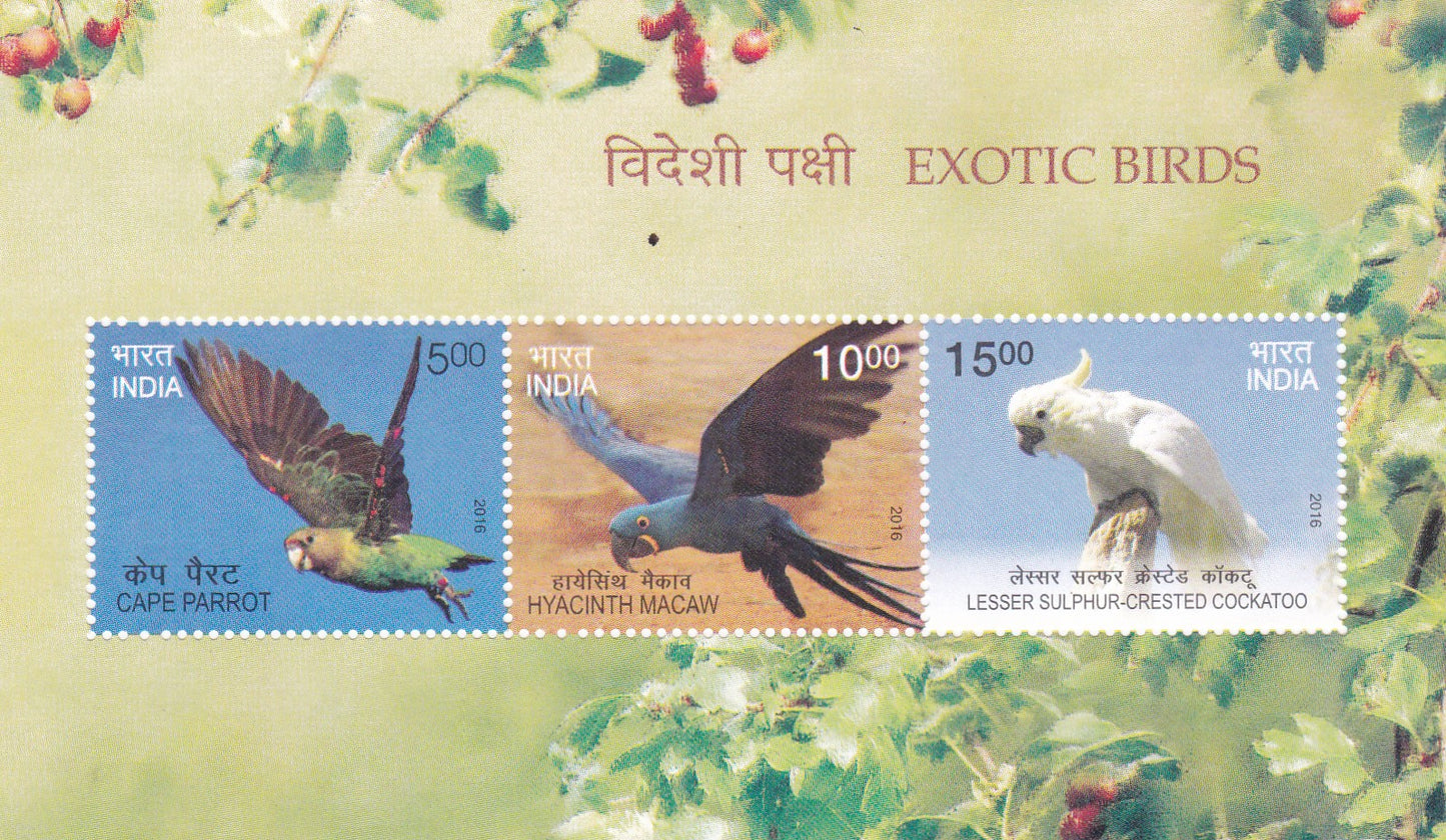 India-Miniature Sheet Exotic Birds