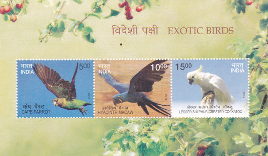 भारत-लघु शीट विदेशी पक्षी