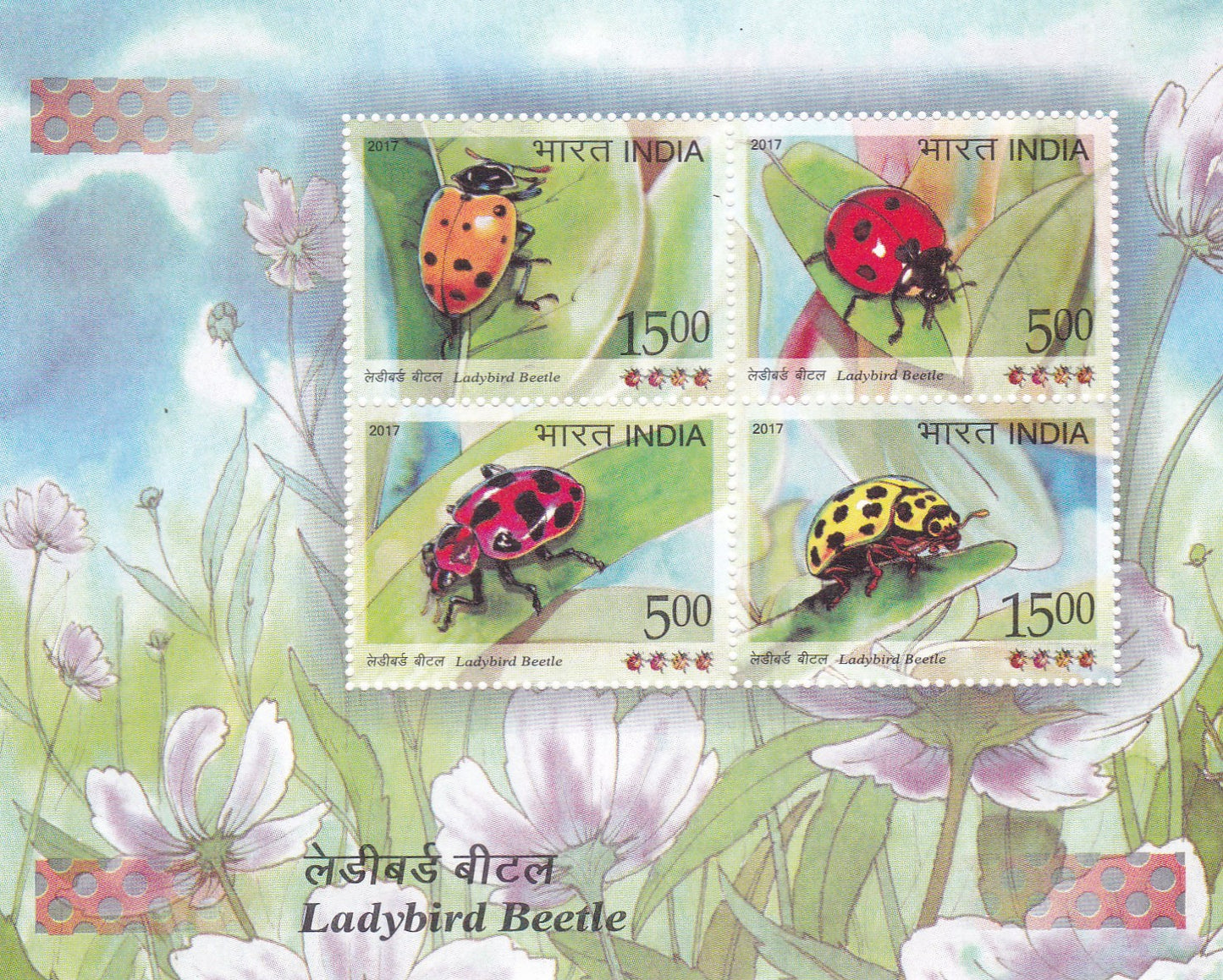India-Miniature Sheet Ladybird Beetle