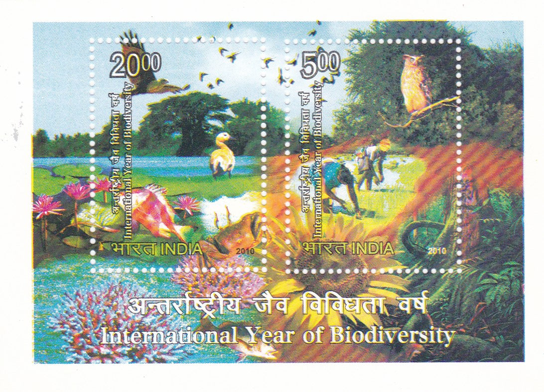 India Miniature Sheet-International Year of Biodiversity
