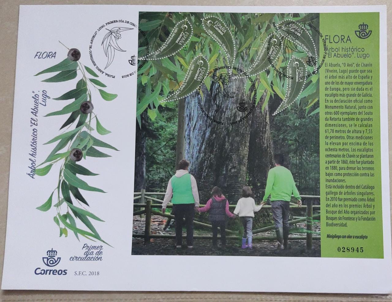 Spain- the Giant Eucalyptus tree scented  MS with odd shaped stamps (shape of leaf)- FDC
