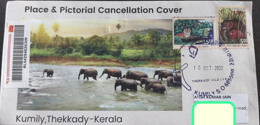 कुमिली थेक्कडी वन्य जीवन अभ्यारण्य से 🐘 के पीपीसी के साथ स्थान और स्थायी सचित्र रद्दीकरण कवर, हाथी और जंगल टिकटों के साथ डाक द्वारा प्रयुक्त पंजीकृत कवर।