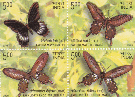 India Setenants Endemic Butterflies of Andaman and Nicobar Islands