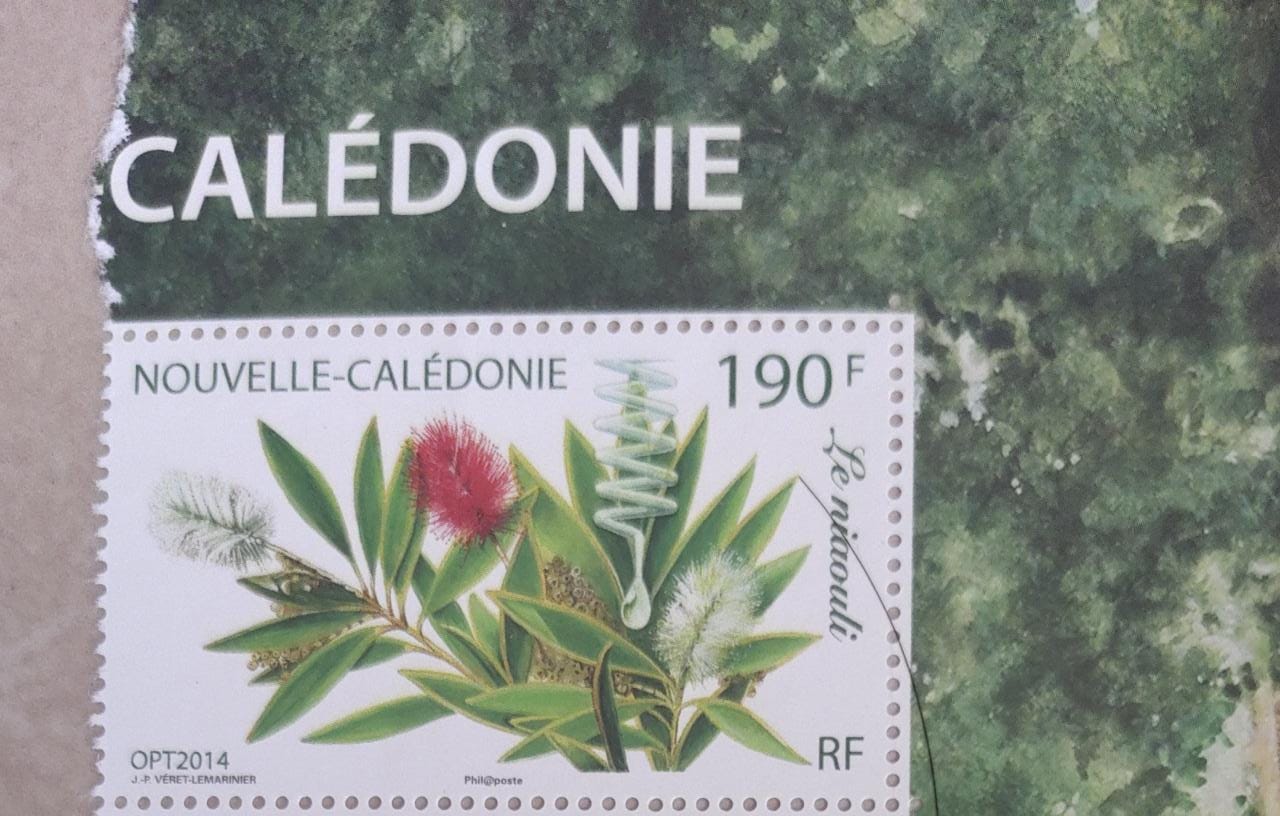 New Caledonia single stamp with fragrance of Niaouli- an essential oil for skin care.