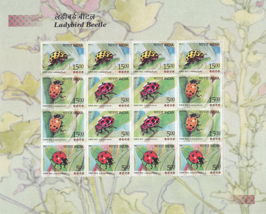 India-Ladybird Beetle 4 types of  Sheetlets