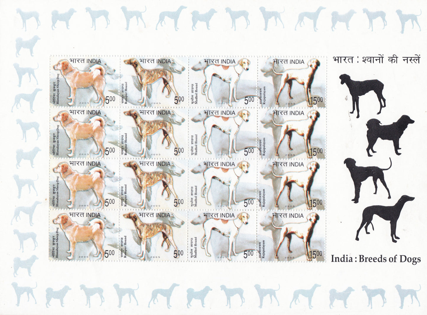 India-Sheetlets Breeds of dogs-2005