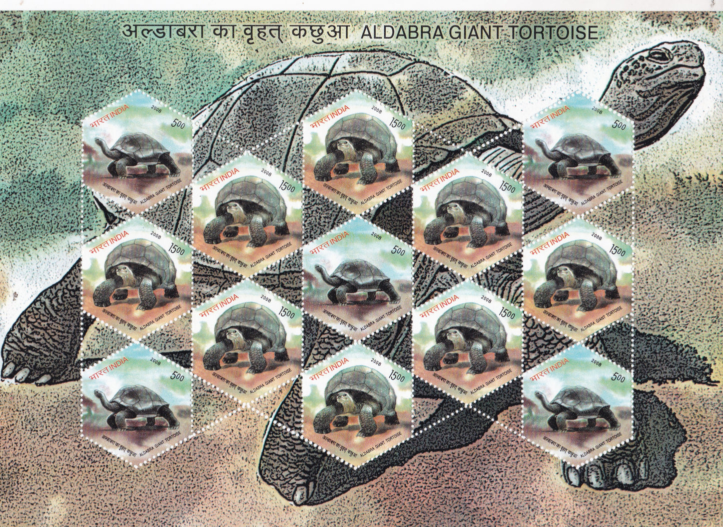 India-Sheetlets Aldabara Giant Tortoise