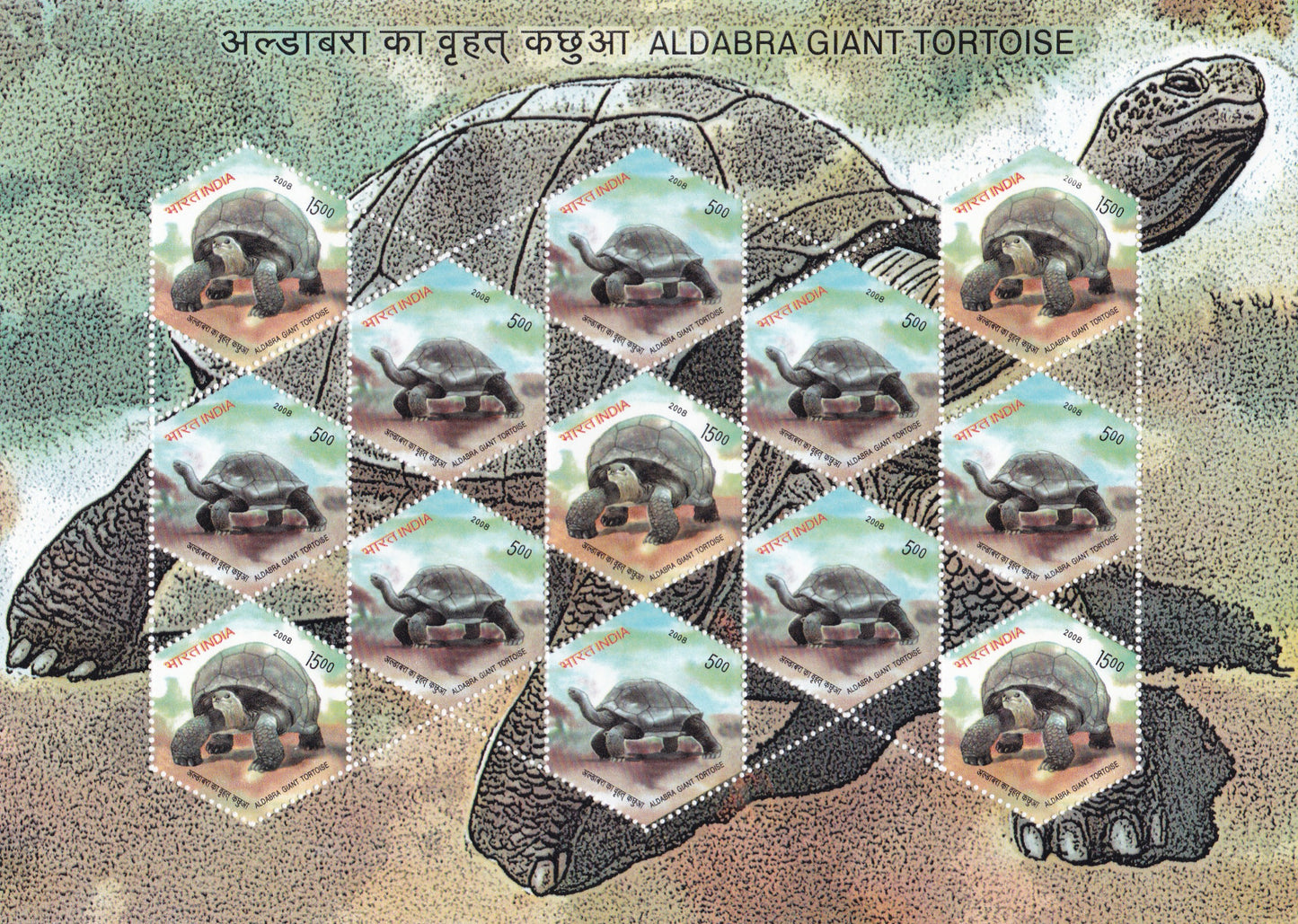 India-Sheetlets Aldabara Giant Tortoise