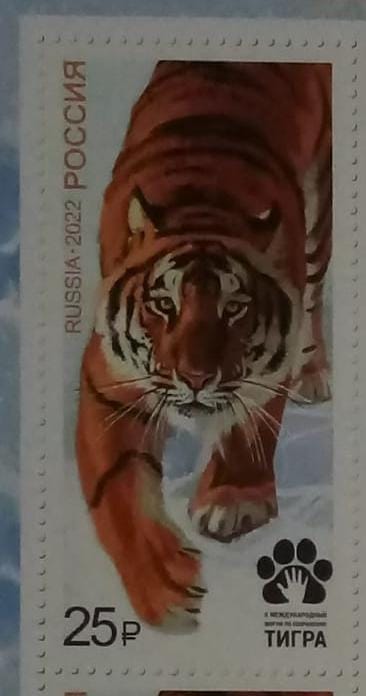 2022 Russia- International Forum for Preservation of Tiger. Joint issuance of postage stamps of the Russian Federation and the tiger habitat countries -