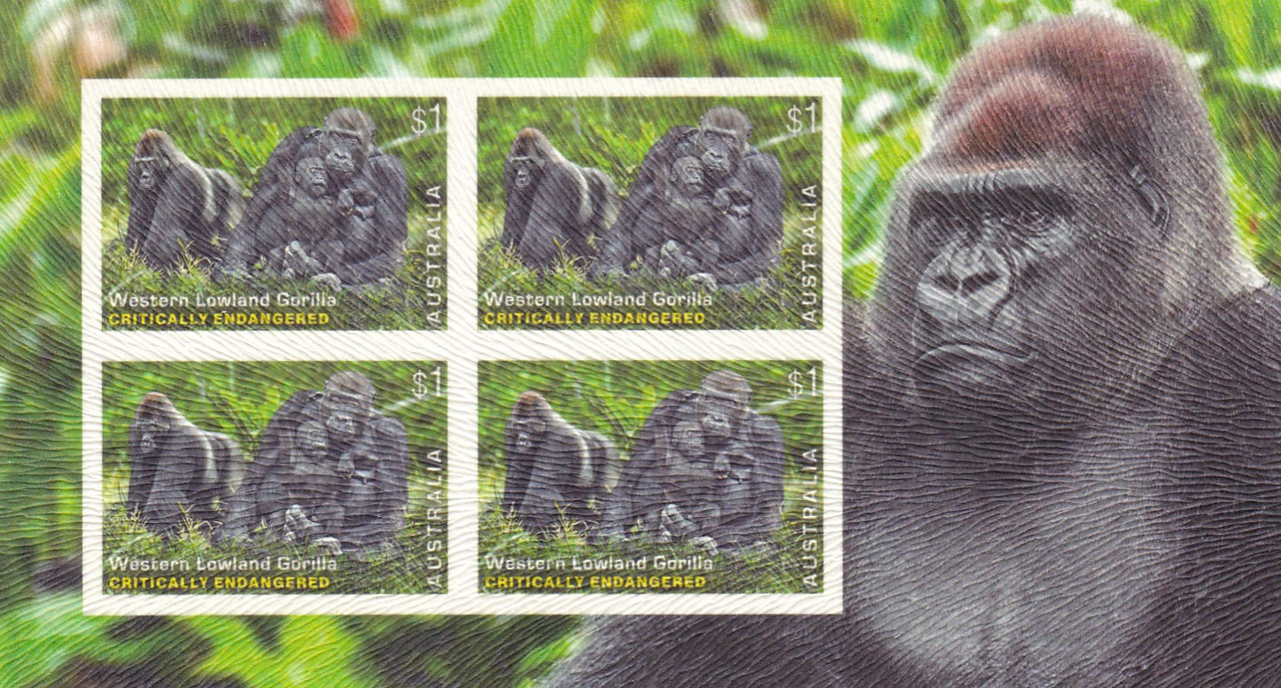 Australia 2016 Endangered Wildlife Limited Edition  Flocked Unusual MS-Gorilla