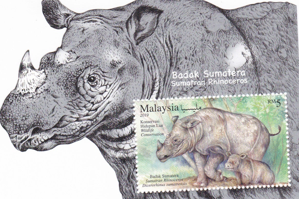 Malaysia beautiful die cut odd shaped ms on Rhino with silver coating