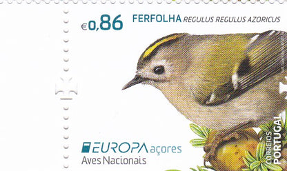 Portugal- Unusual Beautiful set of three song birds