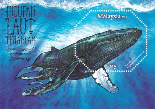 मलेशिया समुद्री जीव होलोग्राफिक प्रिंटिंग के साथ अजीब आकार का असामान्य एम/एस