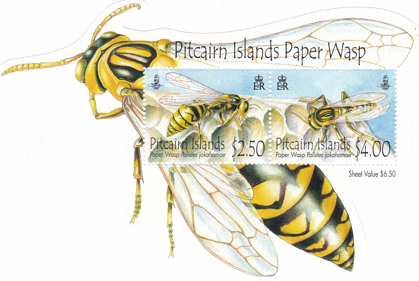 Pitcarin Islands odd shaped miniature sheet on Paper Wasp