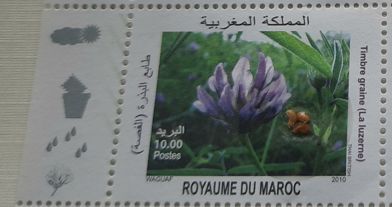 Morocco unusual stamp with real seeds.