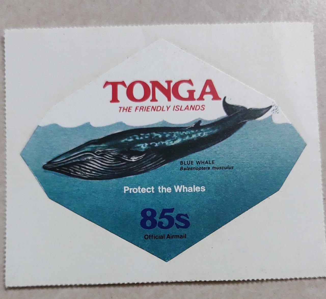 Tonga-Odd shaped self adhesive stamp from Tonga.