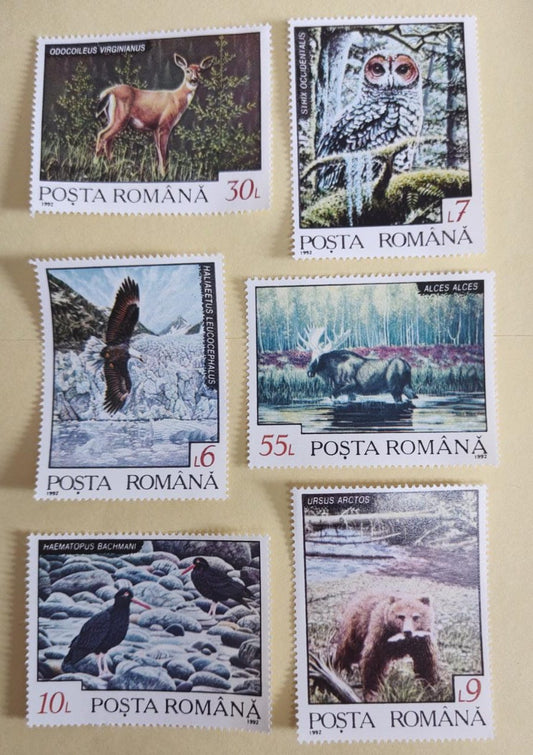 रोमानिया 6 वी जानवरों पर सुंदर टिकटें। 1992 में प्राचीन स्थिति एमएनएच में जारी किया गया।