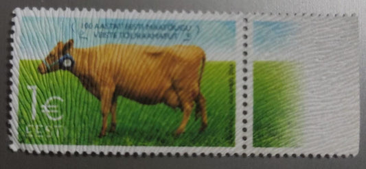 Estonia flock stamp on cattle.