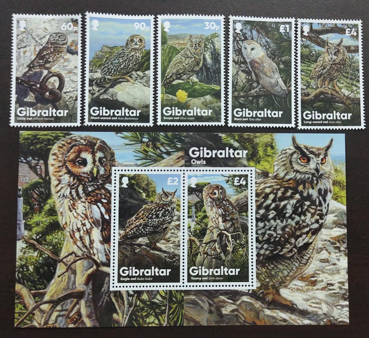 Gibraltar-Beautiful set of 5 MNH stamps and 1 ms on owls 🦉🦉.  Special offer at face value.