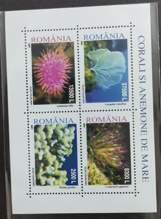 Romania under the sea flora fauna ms